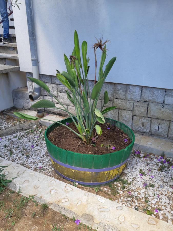 Apartman Vede Bacina Esterno foto