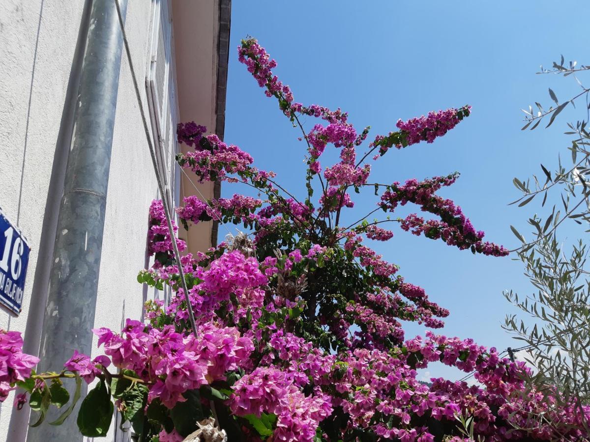Apartman Vede Bacina Esterno foto